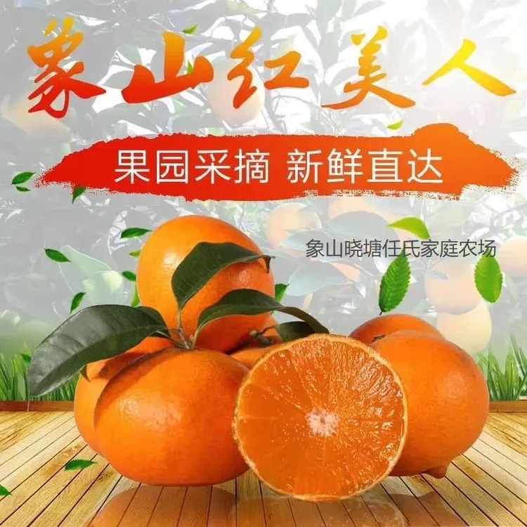 【官方授权】象山红美人爱媛28新鲜无籽皮薄【4.5斤礼盒装】顺丰包邮