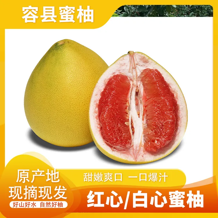 正宗广西容县红心蜜柚白心红肉蜜柚白肉蜜柚新鲜水果产地批发
