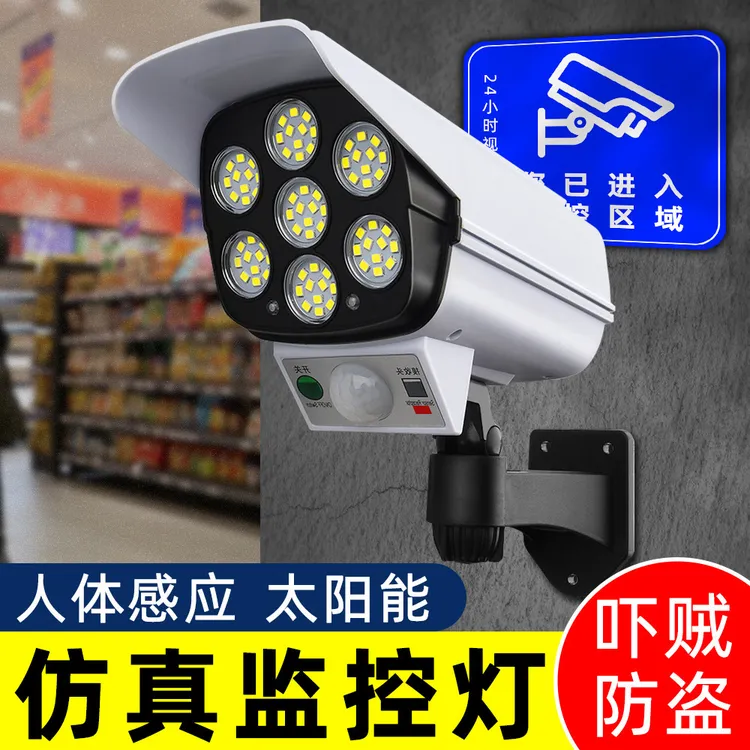 太阳能户外庭院仿真监控摄像头家用LED人体感应照明防水防贼路灯