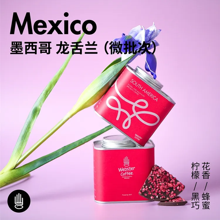 编织者墨西哥优质咖啡豆/龙舌兰庄园微批次新鲜150g