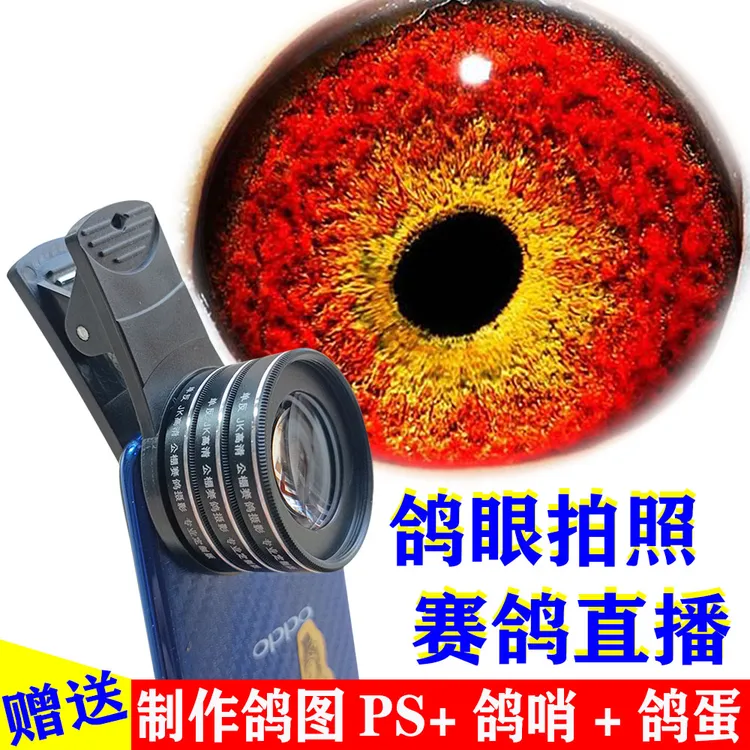 专用手机通用拍鸽子眼放大镜看赛鸽眼砂高清高倍单反镜拍照鸽眼灯