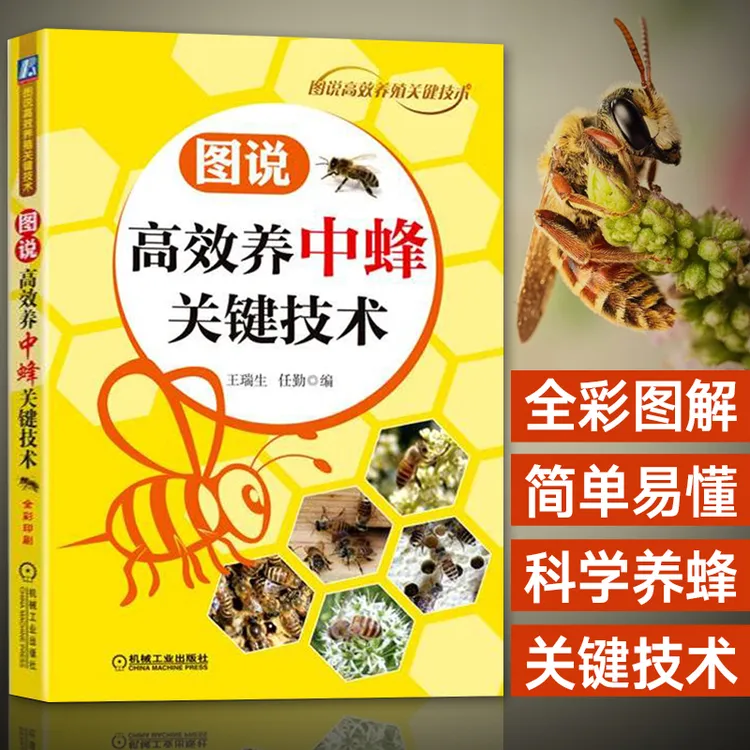 养蜂书籍 图说高效养中蜂关键技术 养蜂书籍 蜜蜂中蜂养殖技术