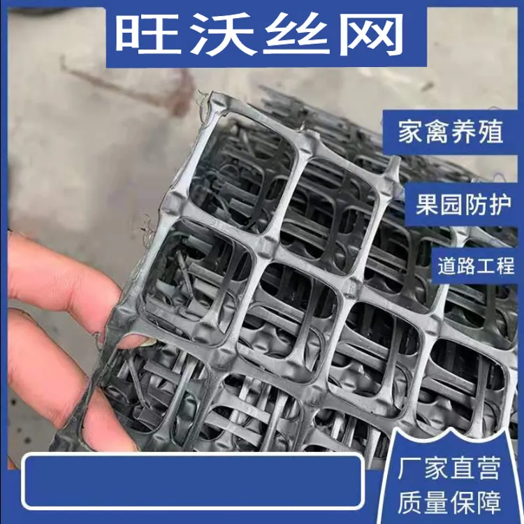 塑料围栏养殖网网防鸟网菜园围网玉米架专用圈果园网护栏玉米网围