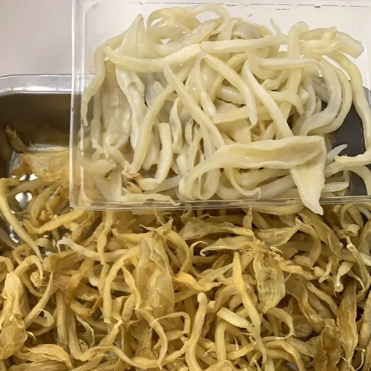 广东汕头 胶须鱼胶花胶