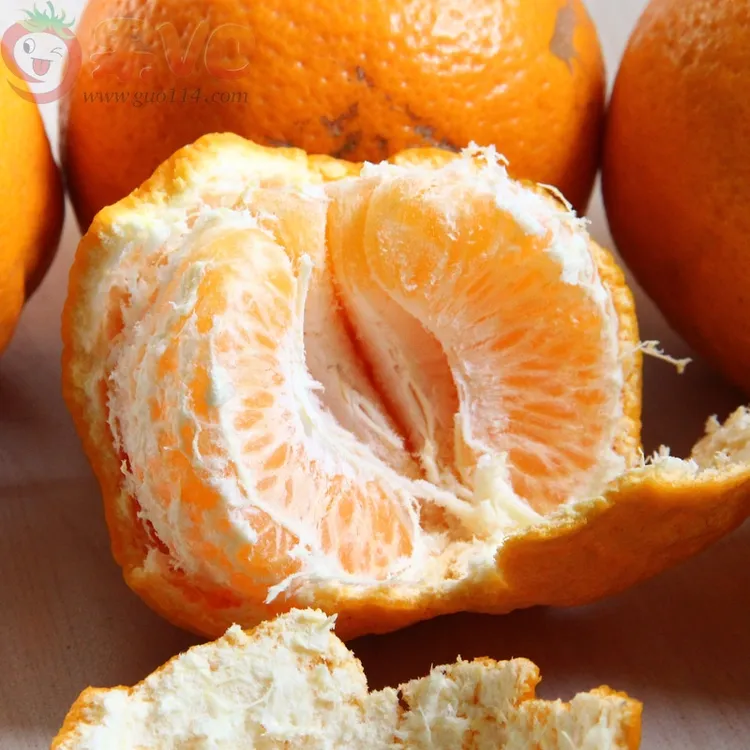 令狐姐助农桐梓新站椪柑磨刀溪正财碰柑5斤左右