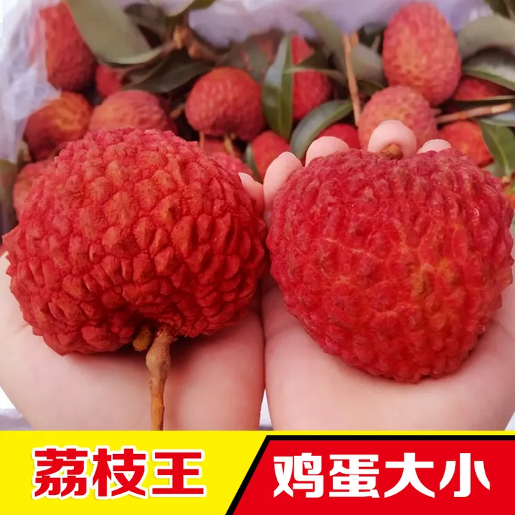 【顺丰空运】荔枝王巨无霸超大精选送礼清甜新鲜水果食用直播卖货