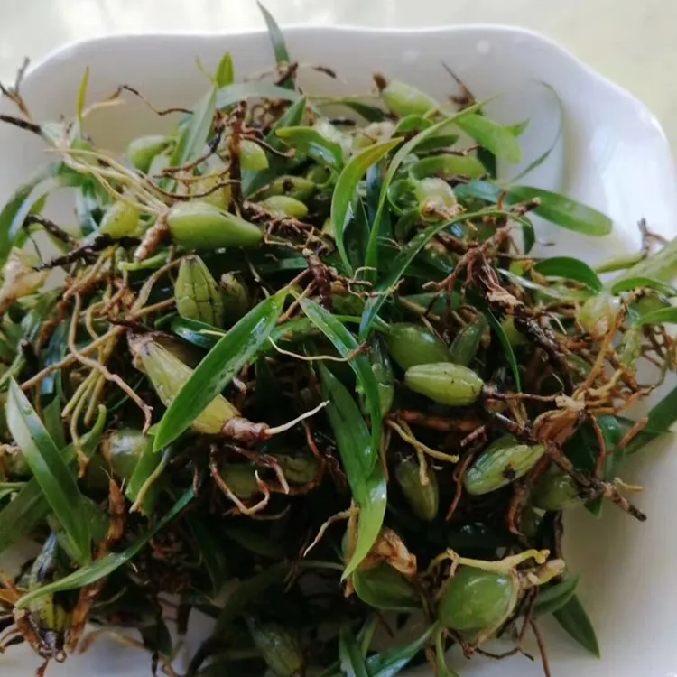 福建宁德石橄榄新鲜500克农产品包邮石豆 果上叶