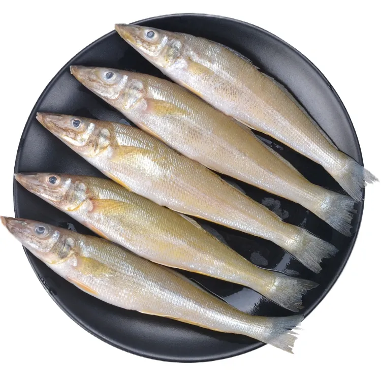 野生海捕 沙钻鱼/沙尖鱼