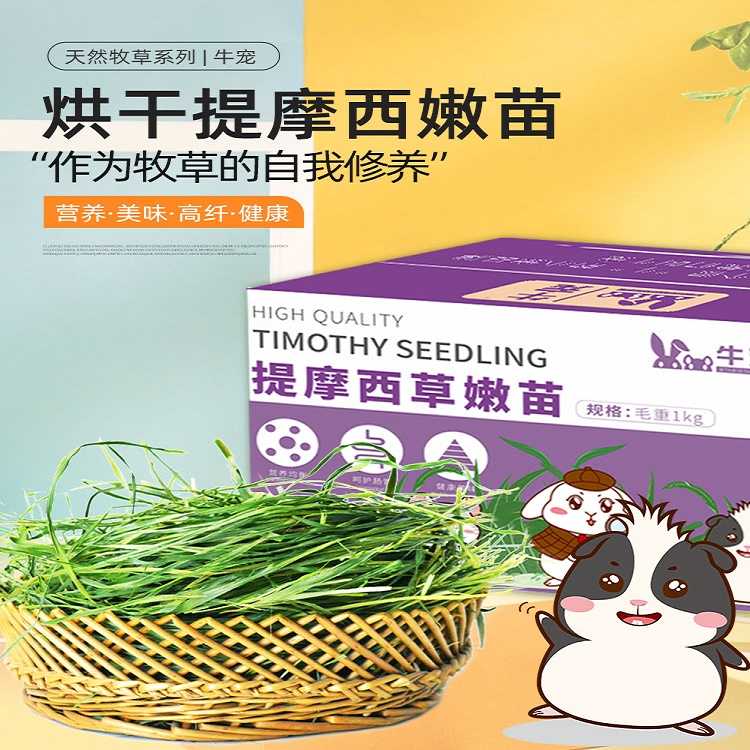 牛宠2023年烘干提摩西草嫩苗毛重1kg南提草全叶南提兔草豚鼠饲料
