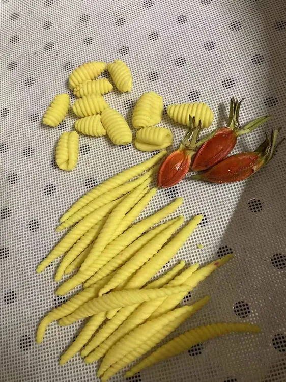 广西横县特产粉利粉虫年糕500克真空包装包邮