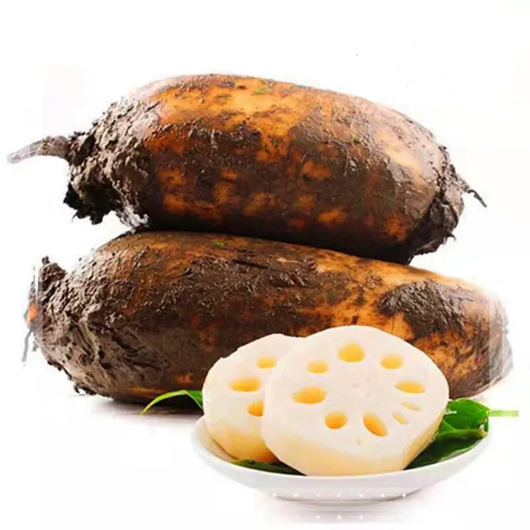 阜阳现挖自种生态莲藕5斤无漂白绿色食品认证3斤脆藕粉藕