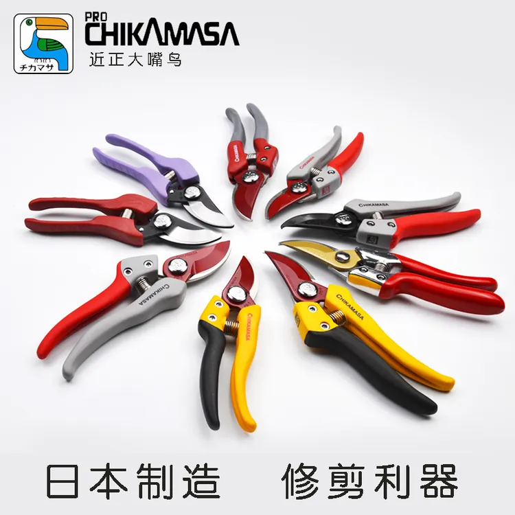 近正大嘴鸟修枝粗枝剪花艺园林果木采摘大力剪橡胶柄减震护手省力