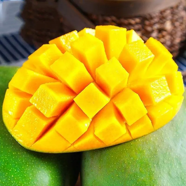 【放软再吃】四川攀枝花凯特芒果香甜软糯乒乓球混双凯特大芒果新鲜