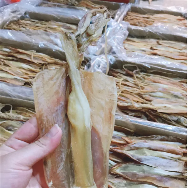 福建鱿鱼母500克