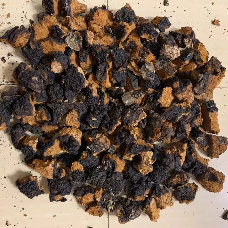 小兴安岭黑龙江桦树茸 500克/袋