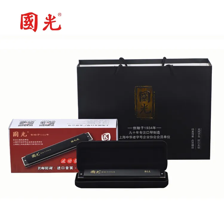 国光24孔国之光复音十二调单支波动音口琴