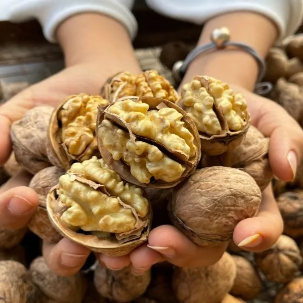 新疆阿克苏手剥185纸皮核桃薄皮原味不漂白自然晾晒新疆直发