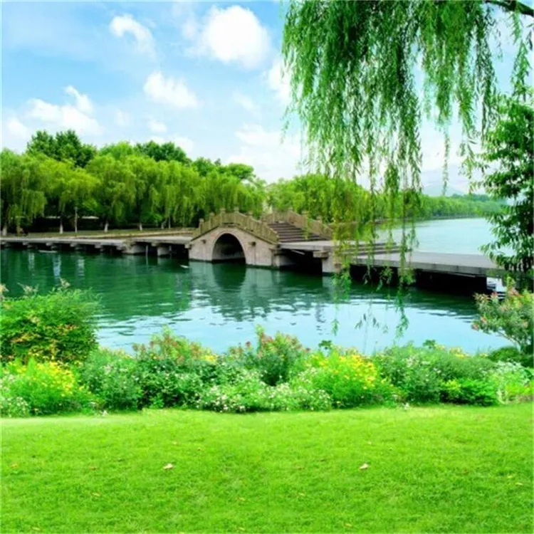 【达人推荐】直播背景布视频直播间主播3d户外山水外景网红背景布