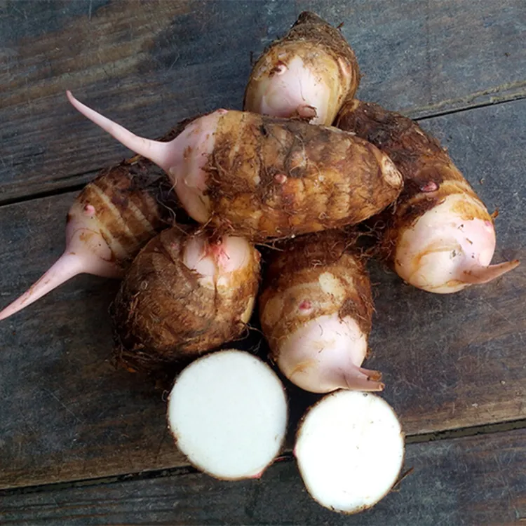 浙江临安红芽芋艿5斤软滑新鲜小芋头毛芋子原产地3斤