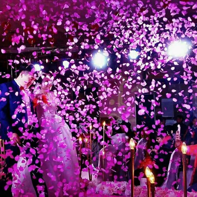 152*加量9连发电子礼花婚礼结婚生日派对接亲喜庆开业庆典