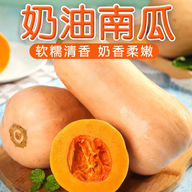 陕西秦岭山种植奶油南瓜5斤-9斤包邮