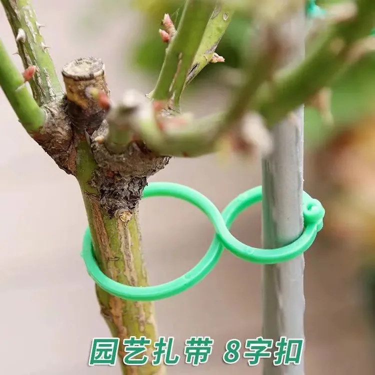 智创 8字扣捆扎扣子