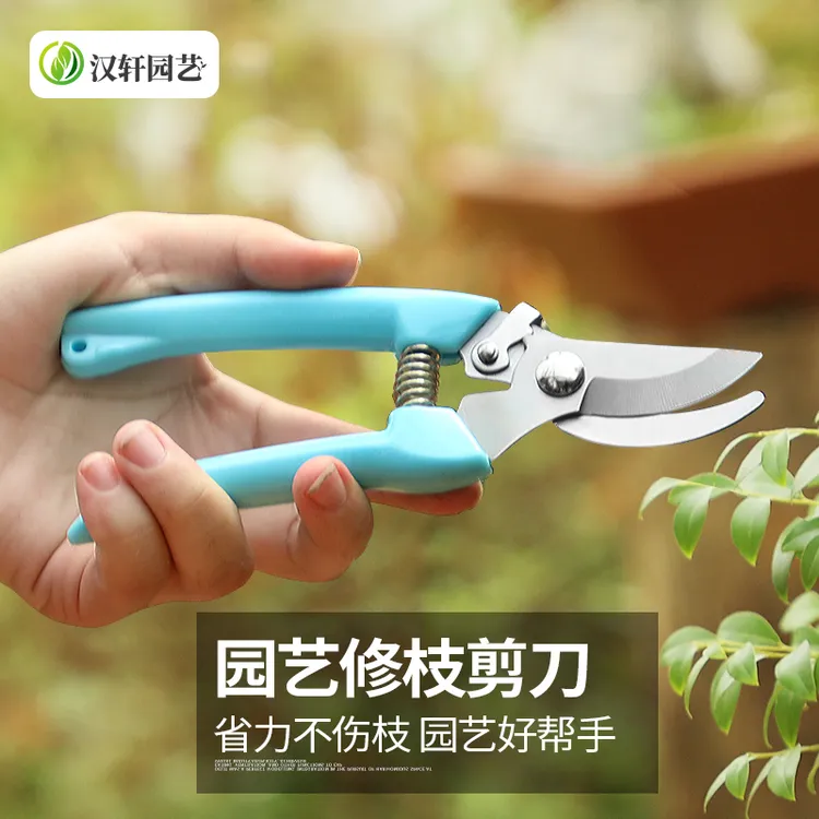 汉轩园林园艺剪刀树枝粗枝摘果剪果树家用多功能修枝剪花艺剪工具商品图