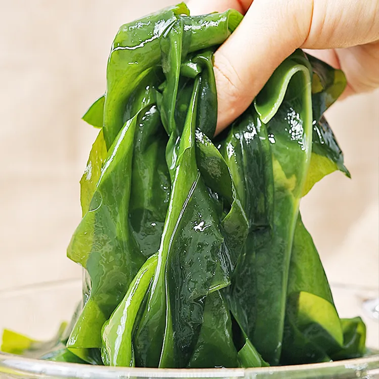 朴小样烘干裙带菜 干货高倍泡发韩式干裙带菜100克*2袋 煮汤凉拌