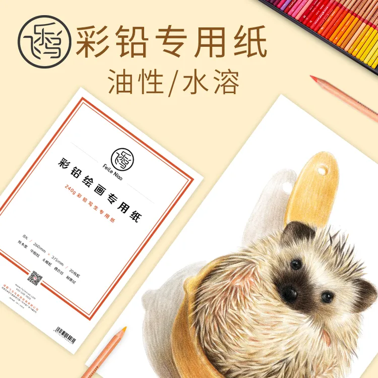 飞乐鸟彩铅纸多尺寸加厚素描手绘画画美术专业考试工具包写生纹理