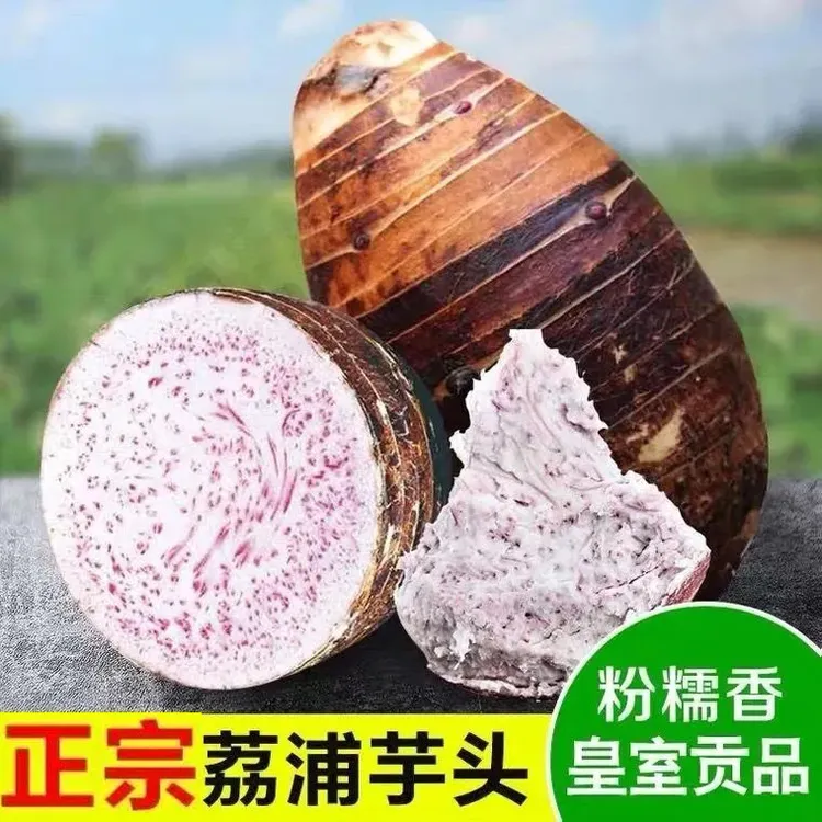 桂凤农场【顺丰】正宗广西荔浦芋头香芋大紫芋新鲜产地农场现挖现发