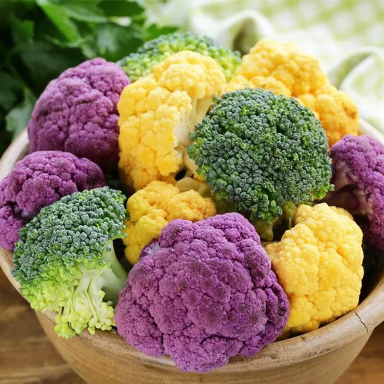 松花菜种子合集青菜花种金色紫色菜花种