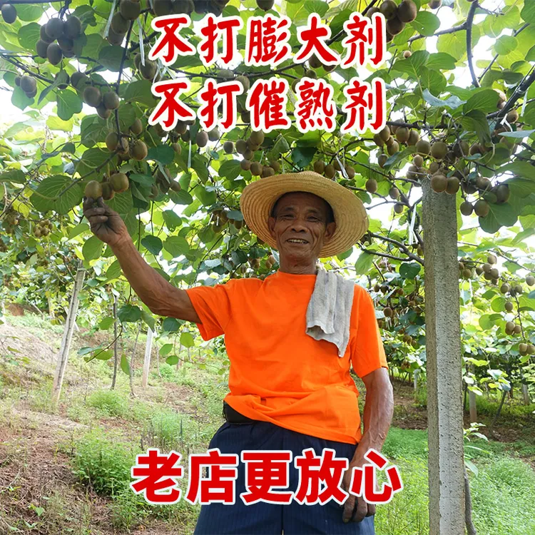 江西奉新红阳红心猕猴桃新鲜包邮5斤大果奇异果