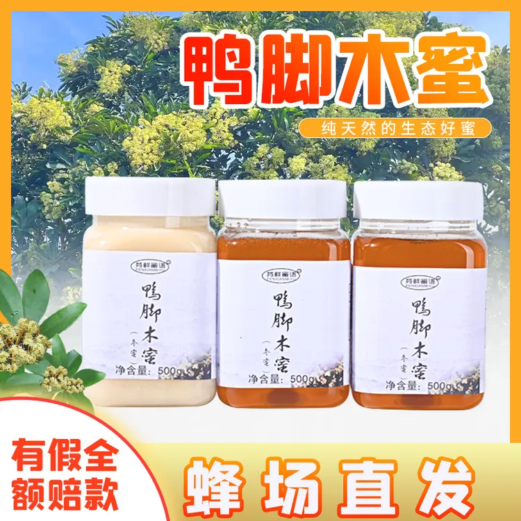 鸭脚木蜜(冬蜜) 岭南特产 中蜂采Y材花酿造500g/瓶 成熟
