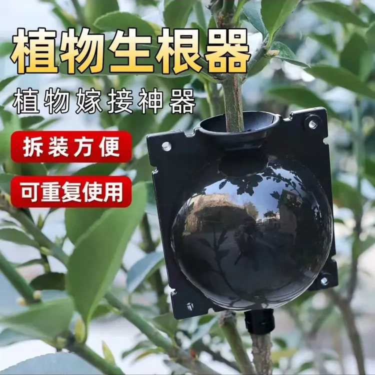 植物高压繁殖盒大号扦插家用生根球树木嫁接压枝耐用塑料生根器