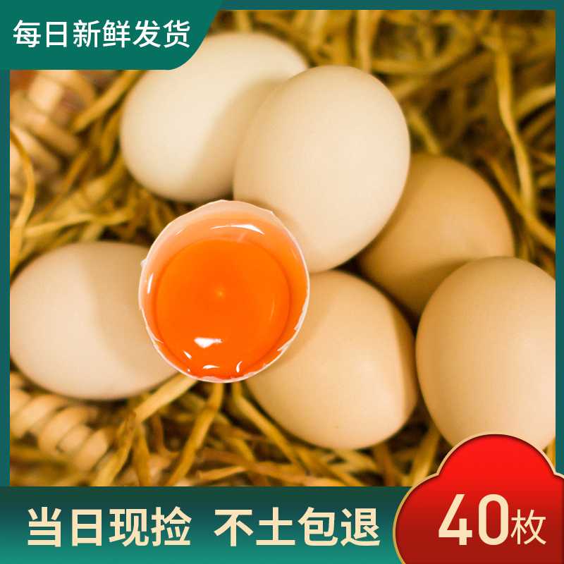 【千千农场】林间放养草鸡蛋土鸡蛋 40枚/1600g