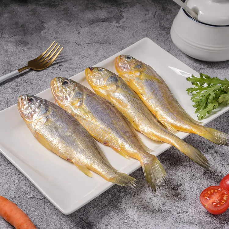 《海鲜离哥》春黄滑仔花鱼小黄鱼斤黄花鱼海捕急冻美味鲜嫩