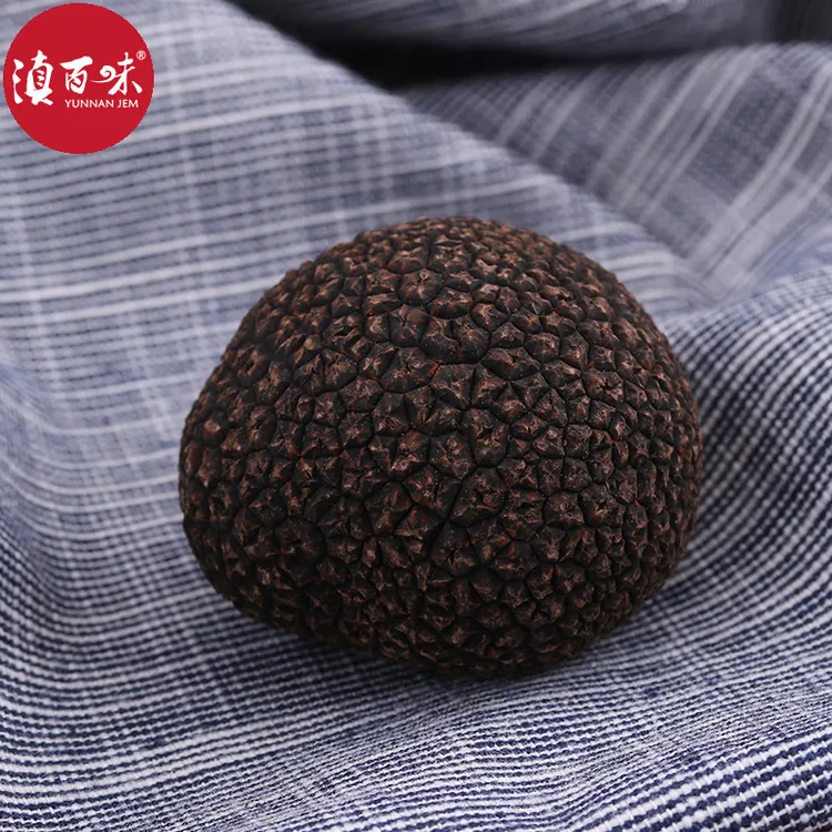 【黑松露】云南高黎贡山新鲜黑松露成熟块菌500g猪拱菌250g