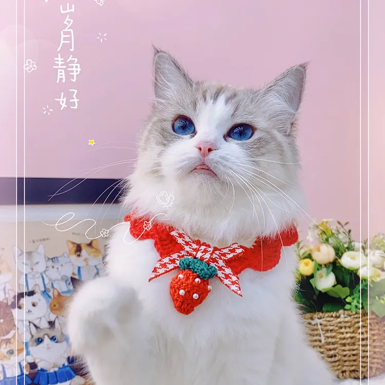 宠物猫咪手工钩织围脖项圈甜心草莓围脖狗狗可爱围巾针织口水围兜