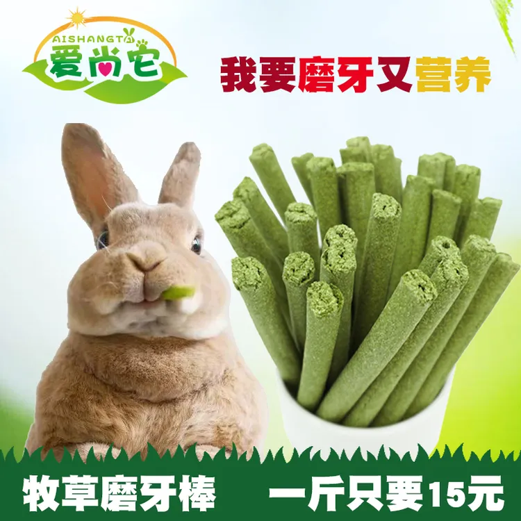 宠物牧草磨牙棒 兔子龙猫土拨鼠荷兰猪苜蓿草棒营养零食500g