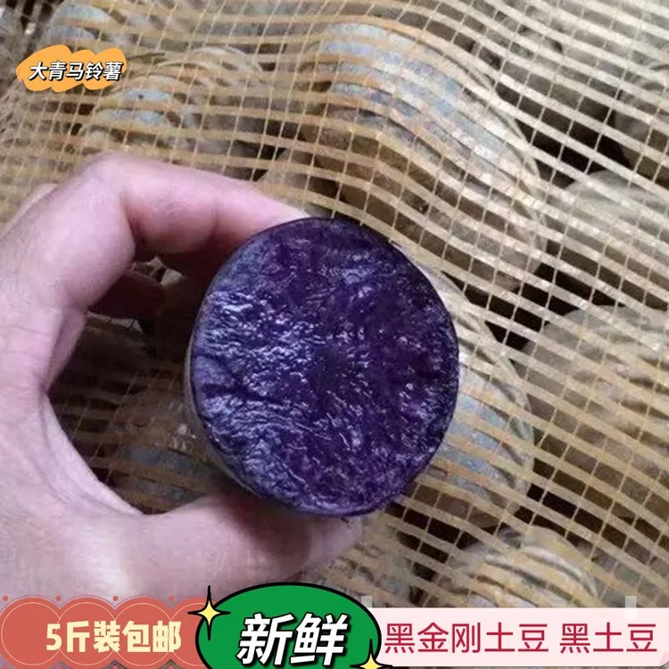 甘肃高山黑土豆 黑土豆紫土豆黑洋芋5斤9斤包邮