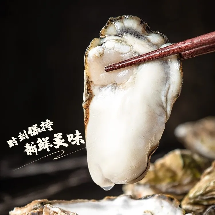 连云港发货   三倍体生蚝   5斤/10斤 海鲜 牡蛎 生鲜