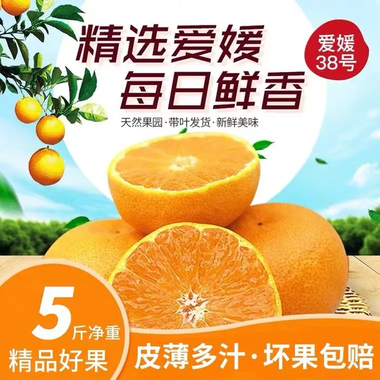 现摘四川眉山爱媛38号果冻橙5斤/8.5斤新鲜应季柑橘手剥橙子包邮