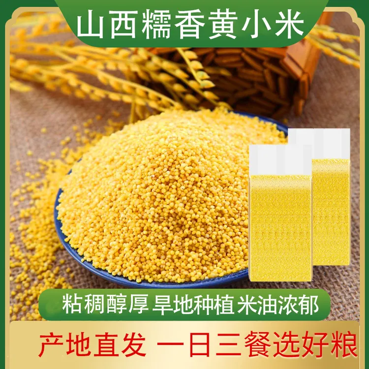 山西小米糯香1500克真空包装黄老年送礼佳品