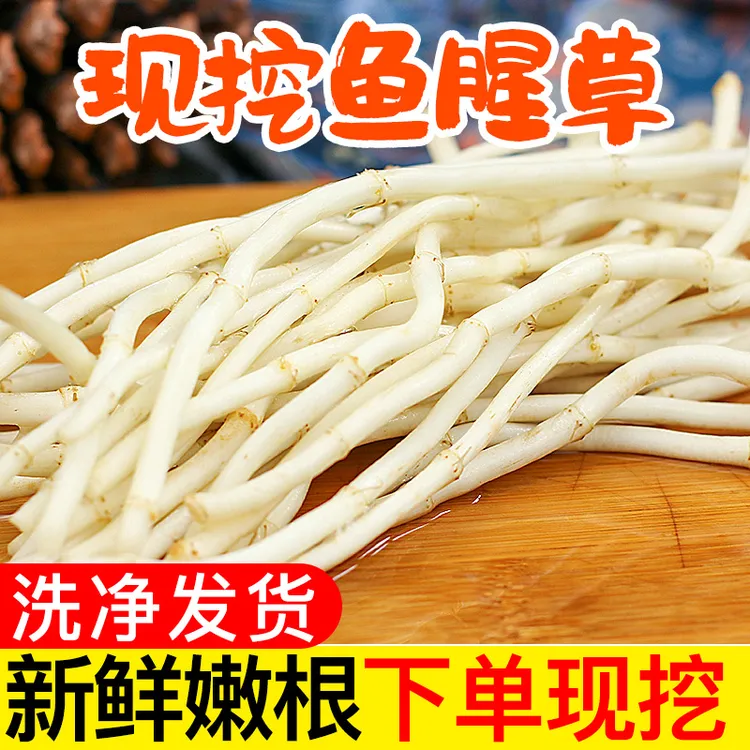 思楚鱼腥草新鲜折耳根嫩根现挖湖北50g/2500g节节根农家自种蔬菜