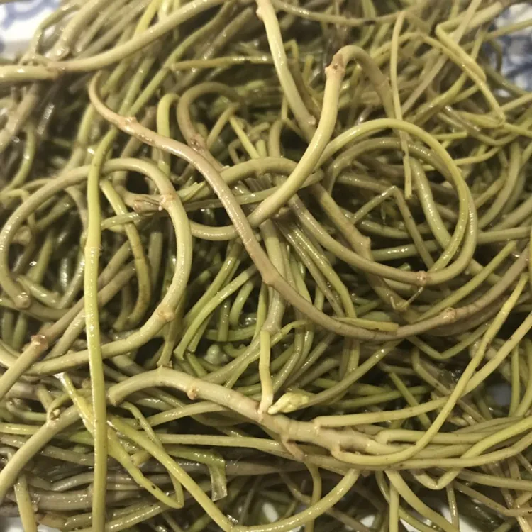 浩东无为特产新鲜蔬菜菱角菜真快包装散装新鲜500g