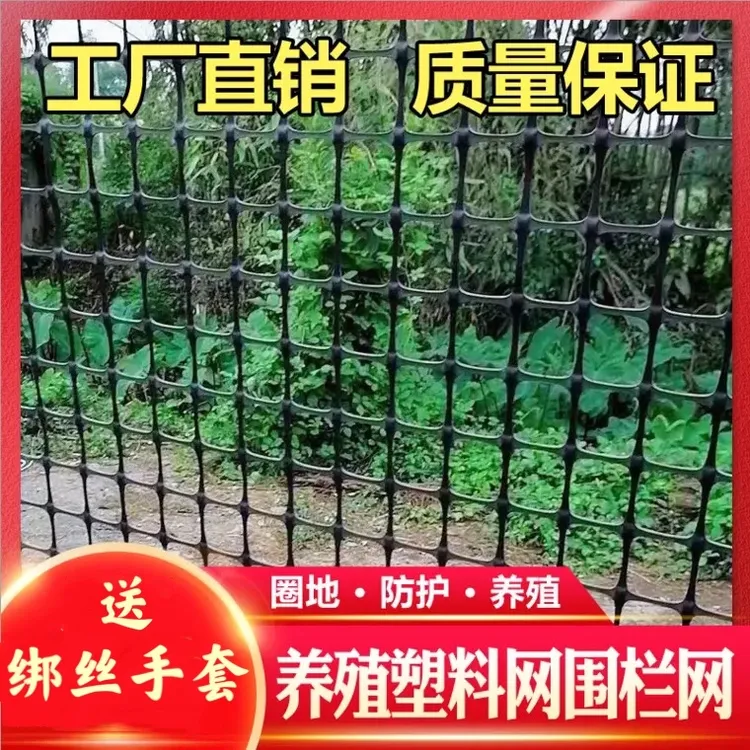 普通款3厘米孔塑料网养殖围栏网防护网果园圈地网土工格栅漏粪网