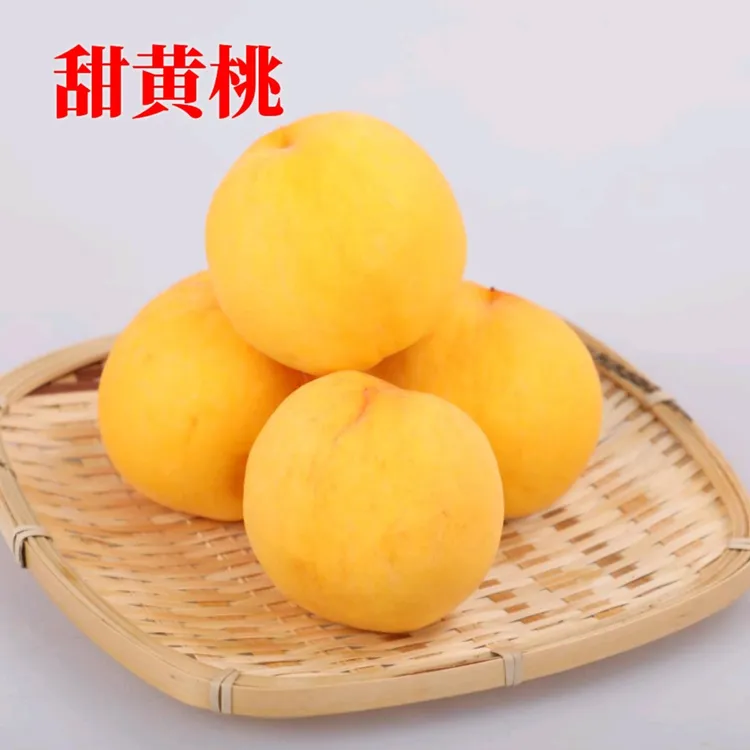 临沂蒙阴黄桃水蜜桃孕妇新鲜水果黄毛桃5斤包邮现摘现发脆甜黄桃
