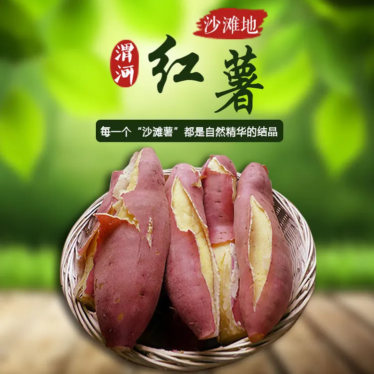 邻然工坊陕西临潼板栗红薯3/5/9斤 干面糯甜 无丝无筋细长农产品