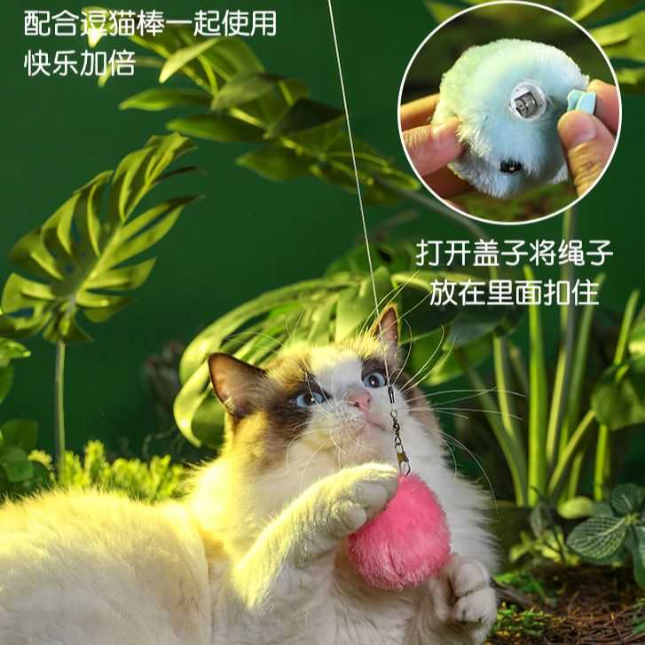 kimpets猫咪逗猫球毛绒玩具仿声引力小鸟叫叫球耐咬耐抓自嗨解闷