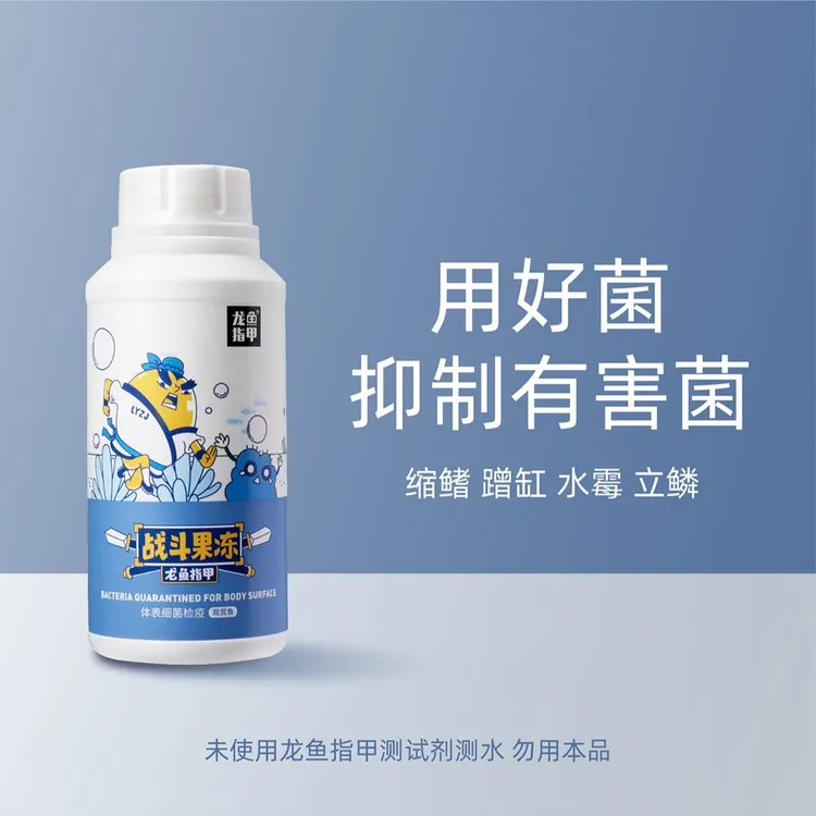 龙鱼指甲战斗果冻 蹭缸 抖鳍 立鳞  